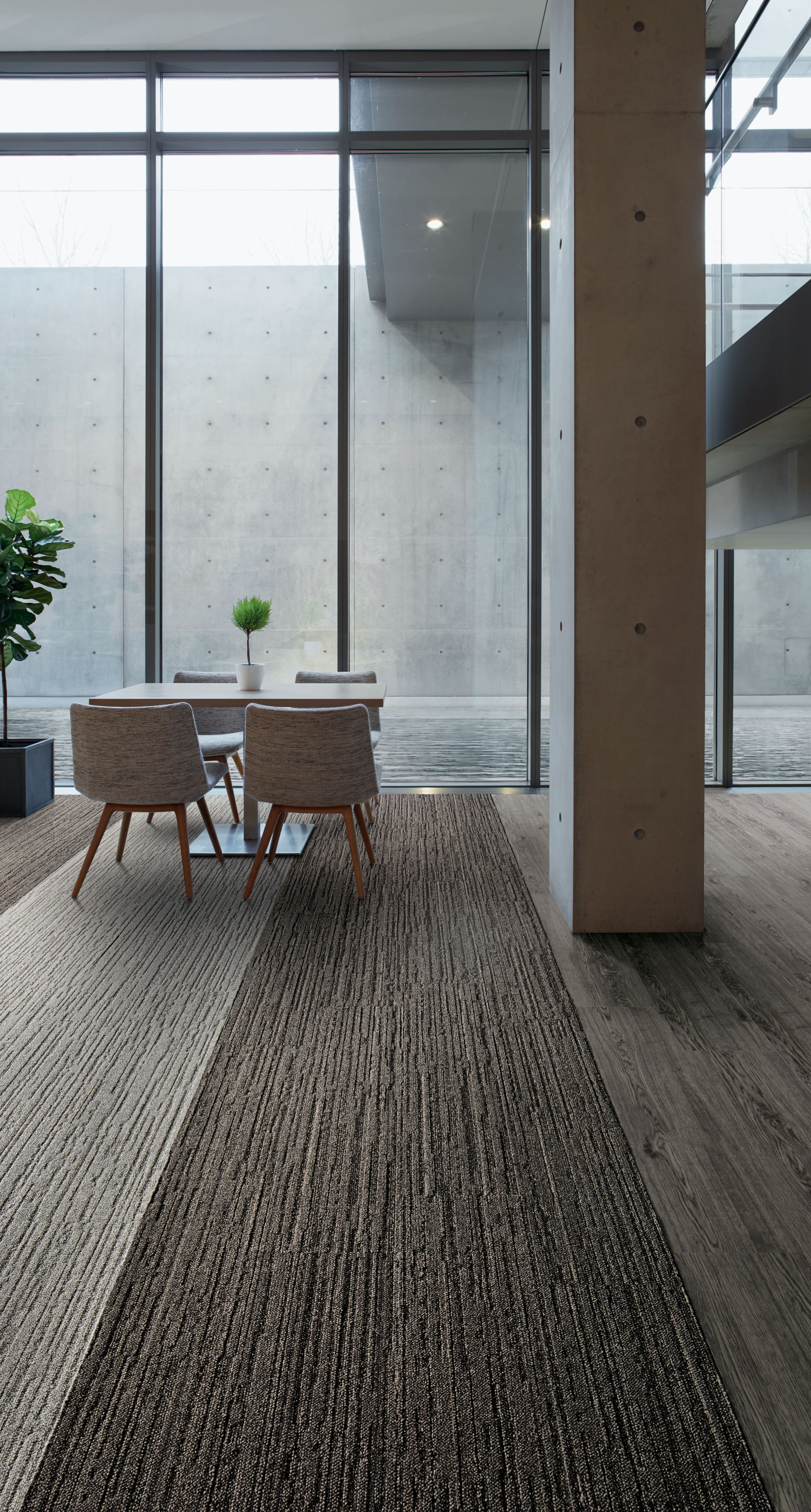 Interface WW880 plank carpet tile and Natural Woodgrains LVT in office common area imagen número 2